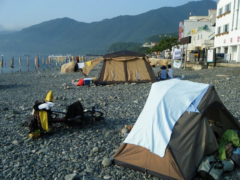 강릉 해변 카라반 캠핑장