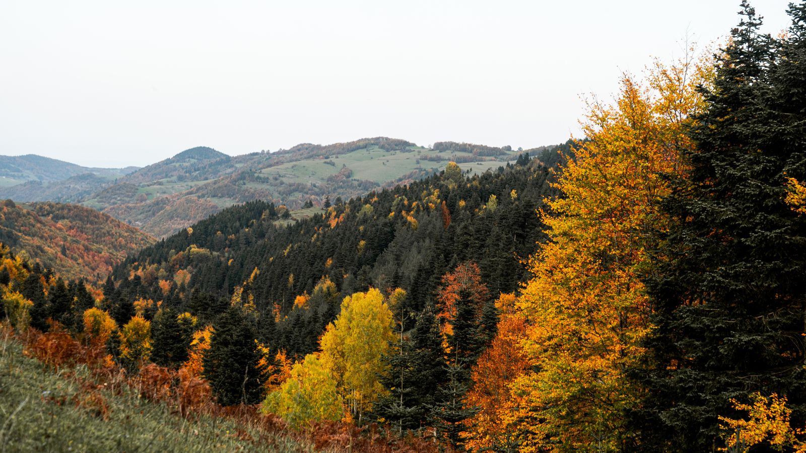 겨울 설산