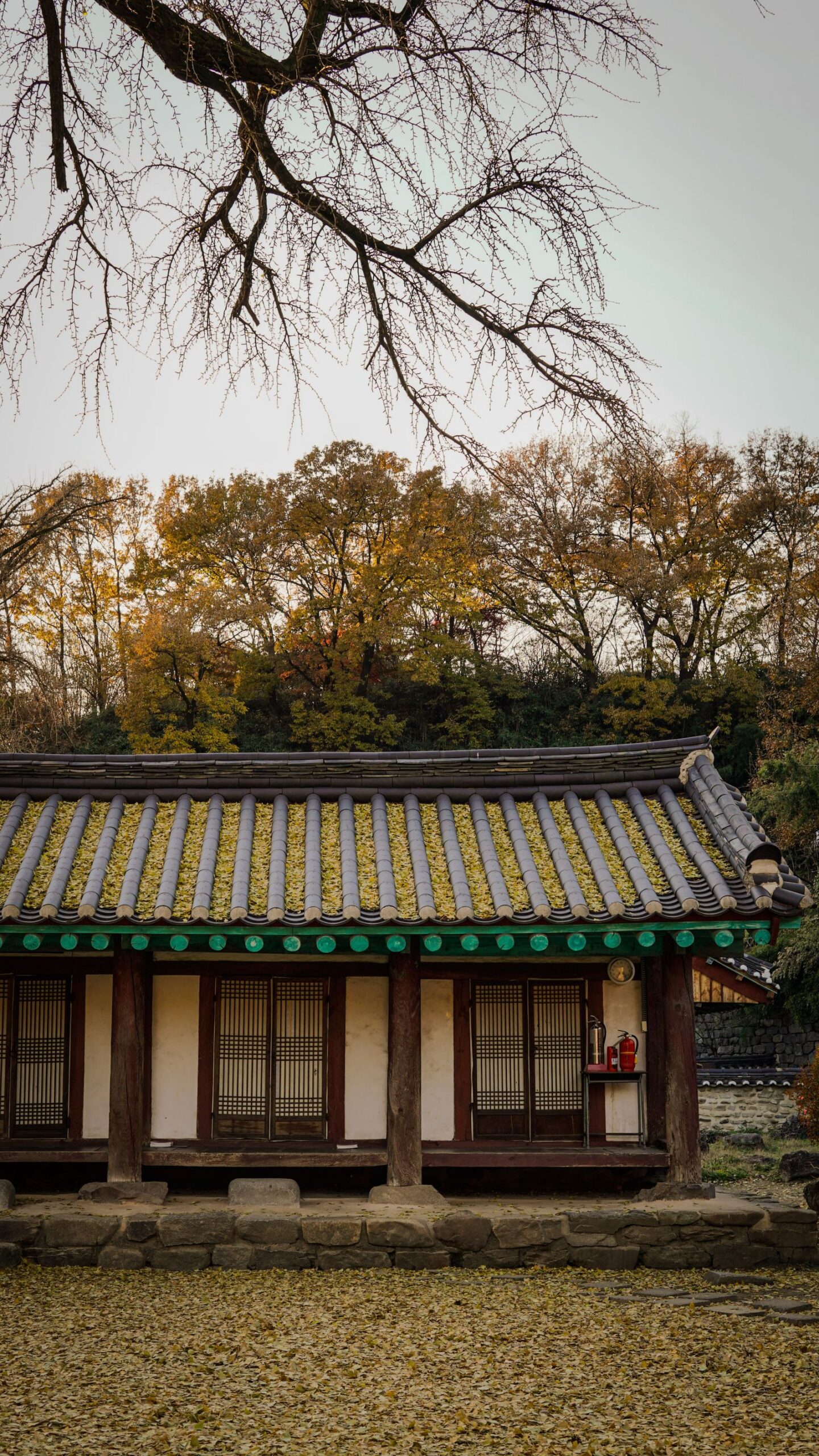 영주 부석사 가을 여행 설명 사진 2