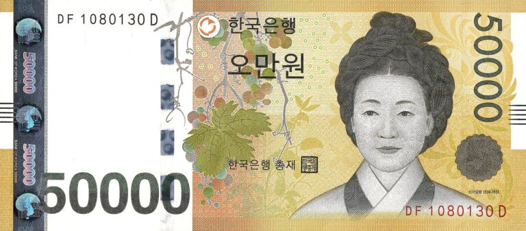 국내 여행 경비로 쓸 5만원권 지폐