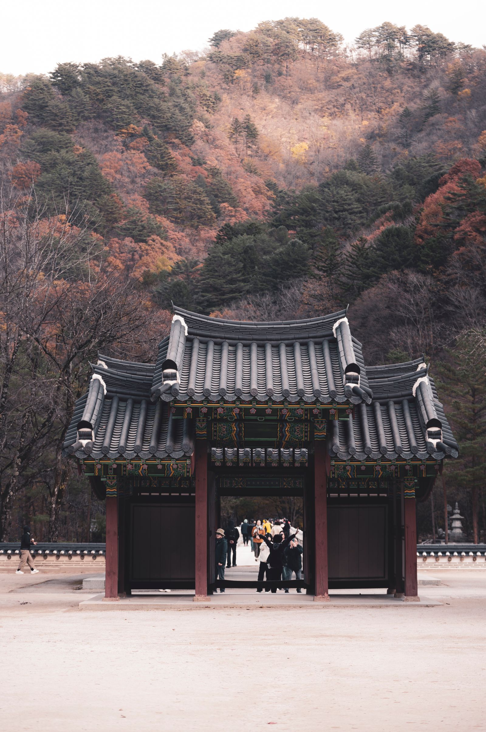 오대산 선재길 단풍 트레킹 가이드 설명 사진 2